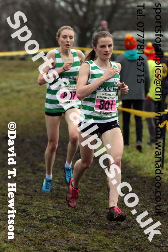Senior womens North Eastern Cross Country, Aykley Heads, Durham. Photo: David T. Hewitson/Sports for All Pics